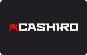 Подробнее о статье Как оформить микрозайм в Cashiro – пошаговая инструкция для новичков